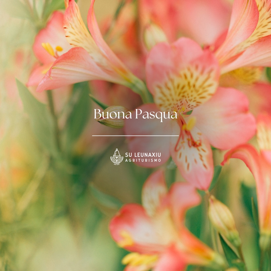 Buona Pasqua da Su Leunaxiu!